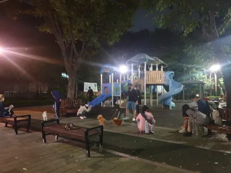 Nonhyeon Kkachi Park