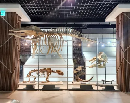 Taebaek Paleozoic Museum