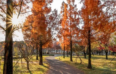 ホサン公園