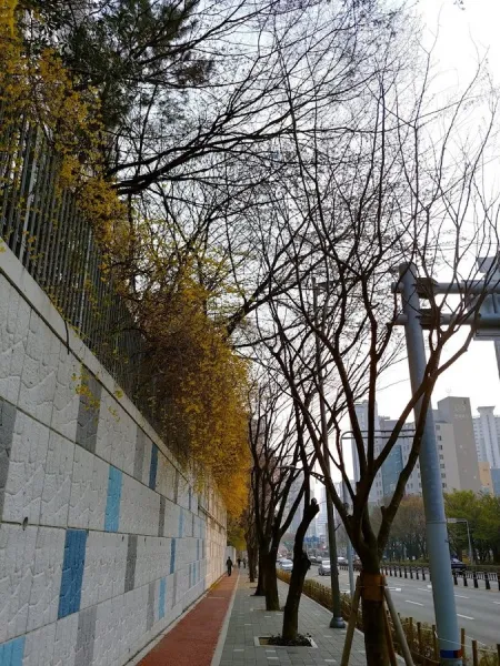 중동 금호어울림아파트