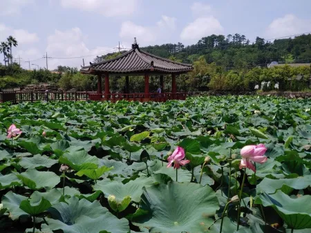 蓮花池