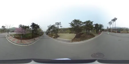 龍仁自然休養林