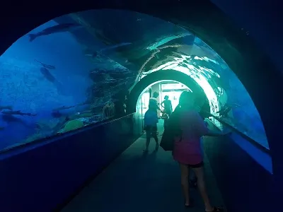 Hwajinpo Maritime Museum