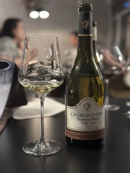 Tinto 틴토