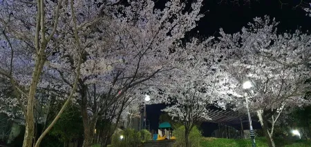Bongseon 2 District Children's Park
