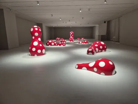 SEHWA MUSEUM OF ART