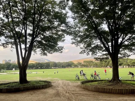 88 Lawn Field