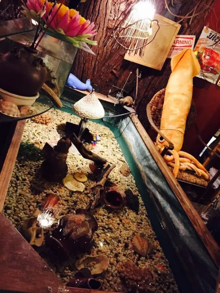 Bar Nocosarejima