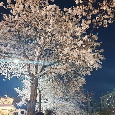 樂民公園