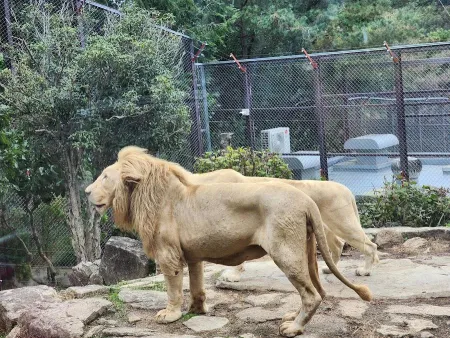네이처파크