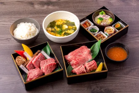 Wagyu Yakiniku Restaurant Gyujiro Osaka Hommachi Branch
