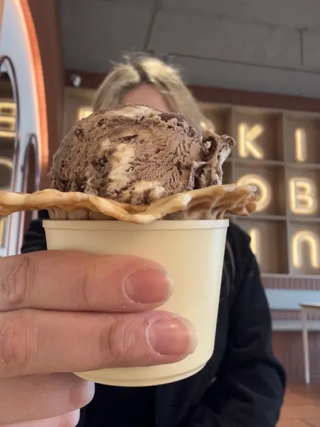 Baskin Robbins