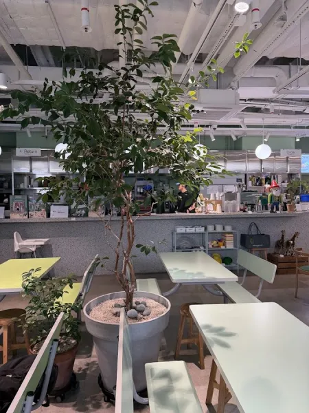 Bo Market Seoul Forest Branch