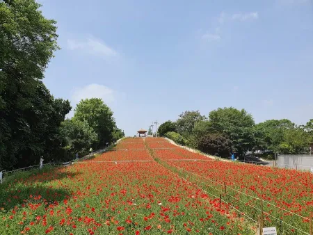 올림픽공원 들꽃마루