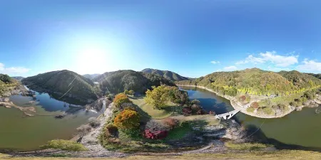 Andong Yonggye-ri Ginkgo Tree