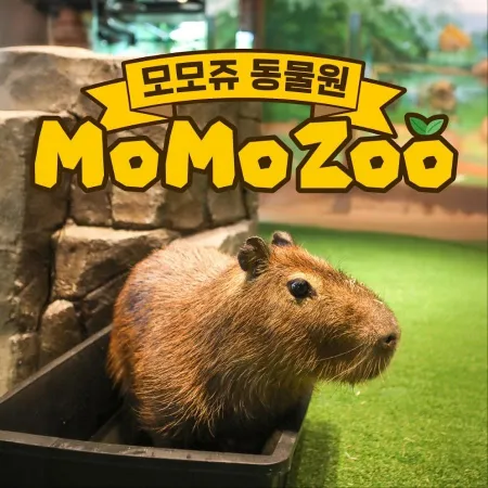 Momo Zoo