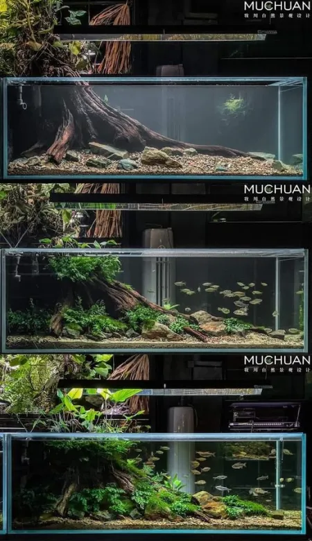 Phylum aquarium