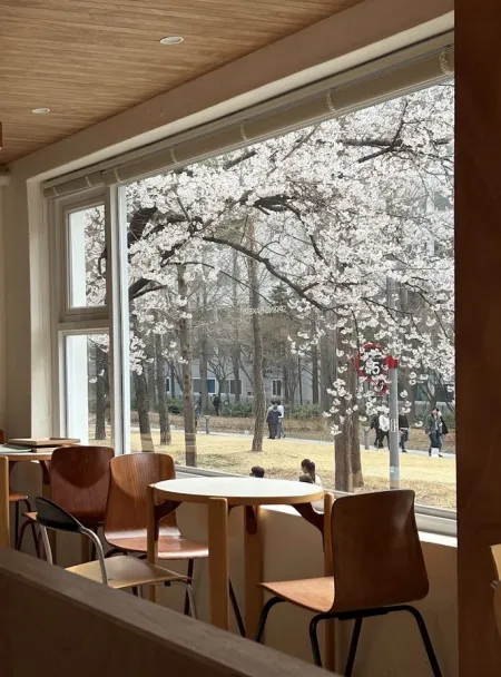 Spring Bakery