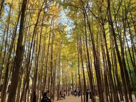 서울숲