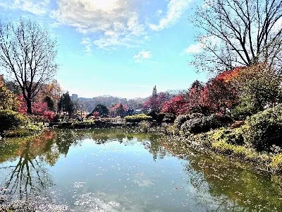 Seoun Dongsan