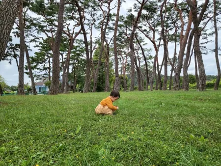저우리테마마을