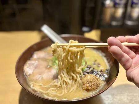 Fujiya Noodle