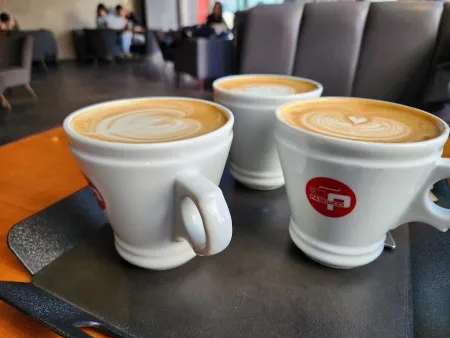 Caffe Pascucci Daegu jungang-ro Branch