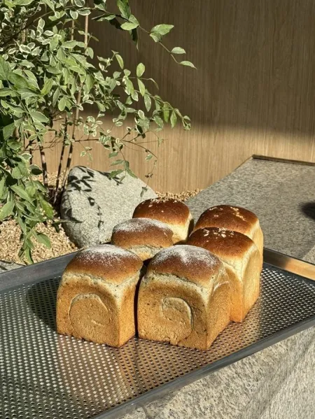 닥터로빈 한남점