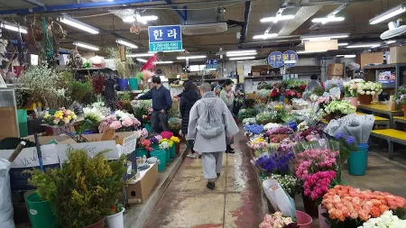 대구꽃백화점