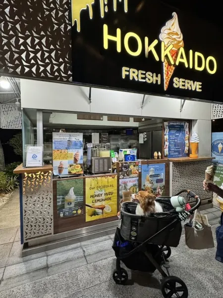 HOKKAIDO FRESH SERVE