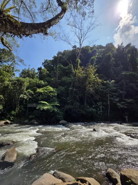 Ayung river Rafting
