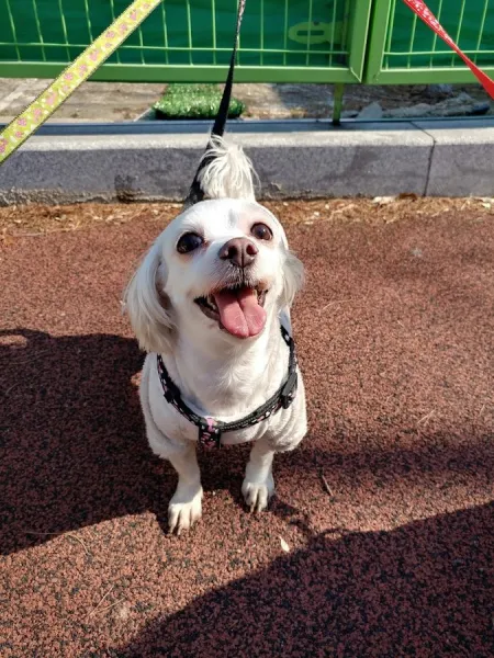 ウンボン公園