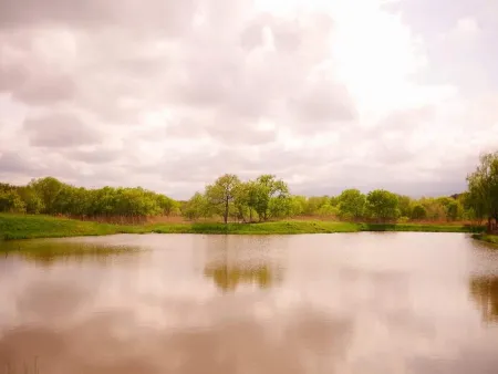 Gyeongpo Gasiyeon Wetland