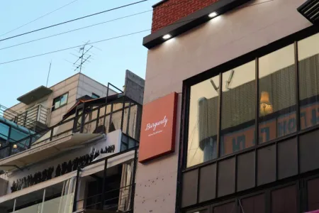 홍대혼술바 버건디