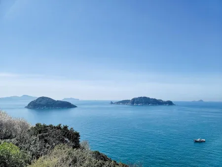 장사도해상공원 까멜리아