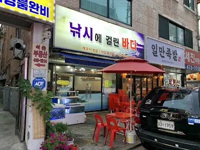 낚시에걸린바다
