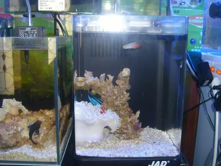 Sea Paradise Aquarium