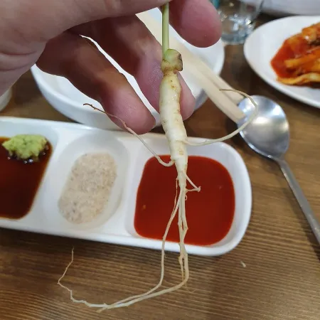 탕신홍대포