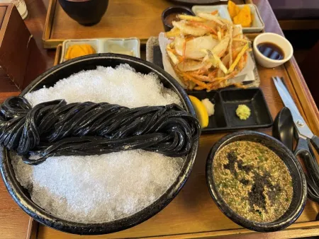 토나리우동