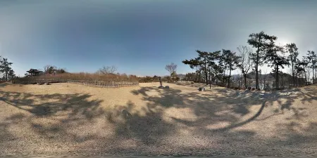 Yonggi Park