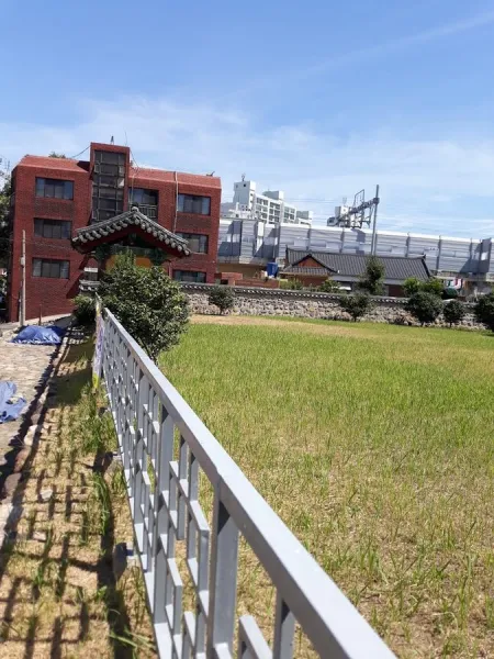 東萊貝塚