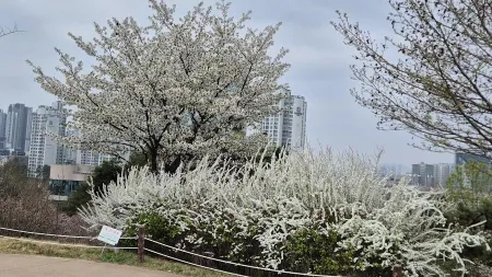 올림픽공원