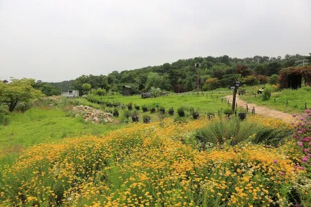 Sandeulsori Arboretum