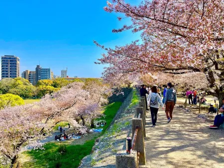 Maizuru Park
