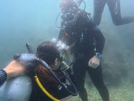 Blue Whale Dive
