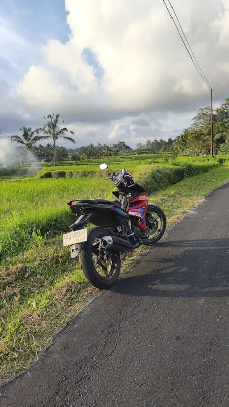 Tengipis Rice Field