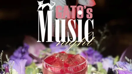 Gato Luna Cafe’ Bar -茶酒|特色酒吧| Live表演|平價|咖哩|聚餐推薦dcard|台北東區|忠孝復興站|市民大道