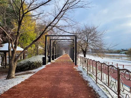 甲川近隣公園