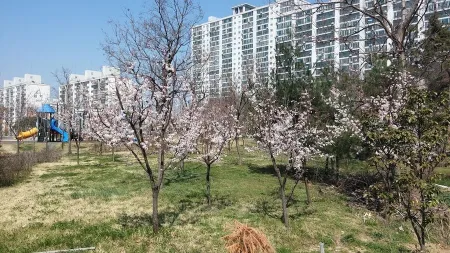 Yuan Neighborhood Park