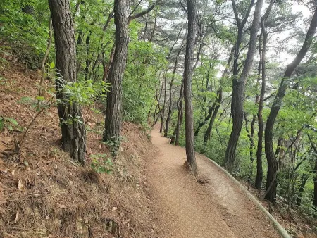 Haksan Park
